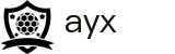 爱游戏（ayx）中国官方入口 - 顶尖中文赛事平台